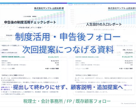 FP・士業向け/顧客提案資料の叩き台を作成します 数字を顧客説明用に整理します　PDFとExcelで納品します イメージ2
