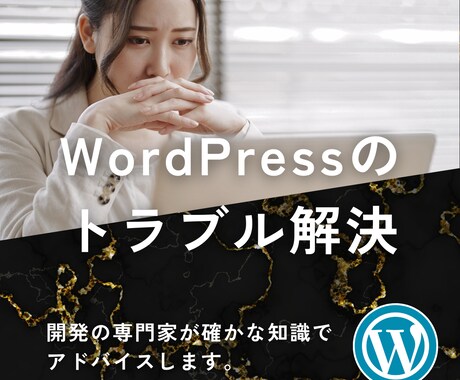 WordPressのトラブルについて回答します イメージ1