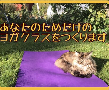 あなたの不調に合わせたヨガクラスをします 肩、腰、首、膝などが痛い方も身体が固いという方でも大丈夫です イメージ1