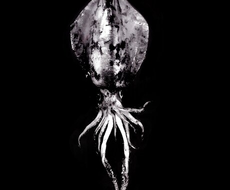 デジタル魚拓制作いたしますます 釣ったお魚の写真が魚拓風イラストに！ イメージ2