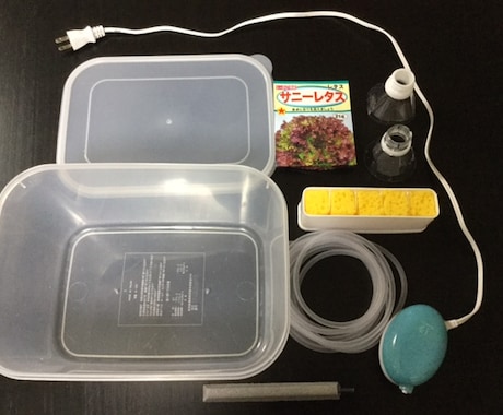 夏休み自由研究の進め方まとめ方教えます 夏休みの自由研究に困ってるご両親・お子様へ イメージ2