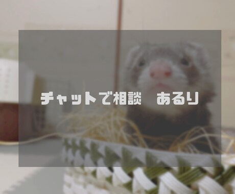 あなたに寄り添い、どんなお悩みでもお聞きます 沢山の経験をしてきたからこそ、私にしかできないアドバイスを。 イメージ1