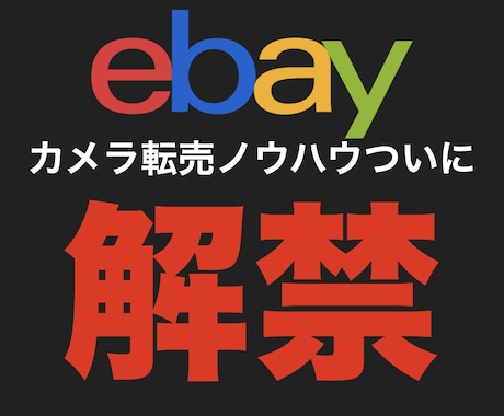 在宅で副業！カメラ転売のやり方 すべてを暴露します 円安の今、輸出がアツい 初歩から実益に至るプロセスを詳細解説 イメージ1