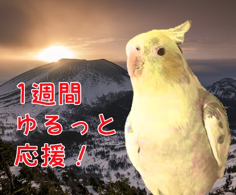 インコが1週間あなたに伴走してゆるっと応援します ダイエット、原稿、ココナラ活動、作業の進捗管理やモチベ上げ！ イメージ1