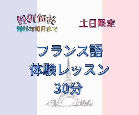 フランス語30分の体験レッスン！文法か会話選べます 仏検1級•C1のお母ちゃん先生とオーダーメイドレッスン準備 イメージ1