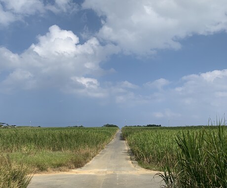 あなたのモヤモヤ一緒に笑えるまで付き合います なんだかモヤモヤすることじっくり聞いて最後は一緒に笑います！ イメージ2