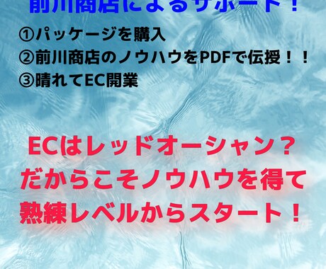 メルカリ、ヤフオクでの副業開業を成功へ導きます 熟練EC知識でメルカリ、ヤフオクで副業を始めましょう！ イメージ2