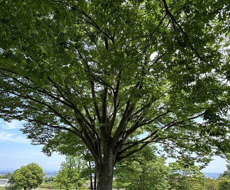 HSP気質ならではのお悩みやお困りごと受け止めます 和喫茶でゆっくりお茶でもしていってくださいね。 イメージ1