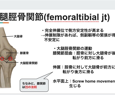 膝関節についての資料を提供します トレーナーやセラピスト必見！膝関節のあれこれが分かります！ イメージ1