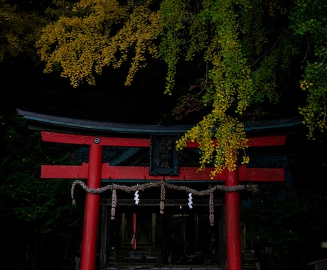 写真撮影の代行を致します