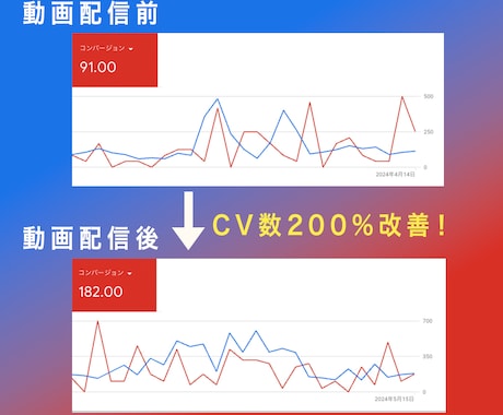 各種SNS・Google向け動画広告を編集します 【修正無制限！】広告成果 / KPIにこだわり動画広告を制作 イメージ2