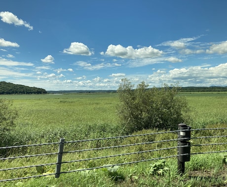 専門プログラムで怒りのコントロールについて教えます 個人に合わせたプログラムでアンガーマネジメントをします。 イメージ1