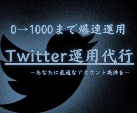 Twitter運用代行します 運用師によるアカウント構築(強化版) イメージ1