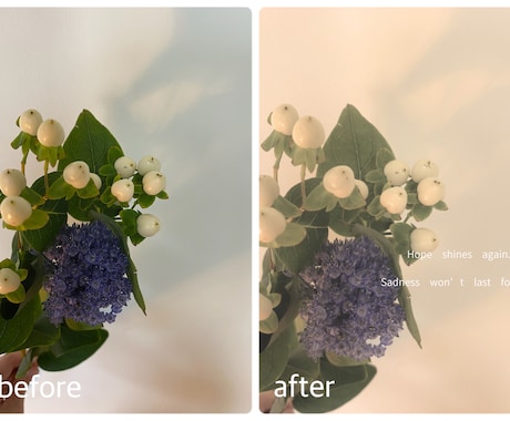 SNSで映えるやさしい写真に仕上げます 世界観を大切に、一枚一枚丁寧に仕上げます。 イメージ2