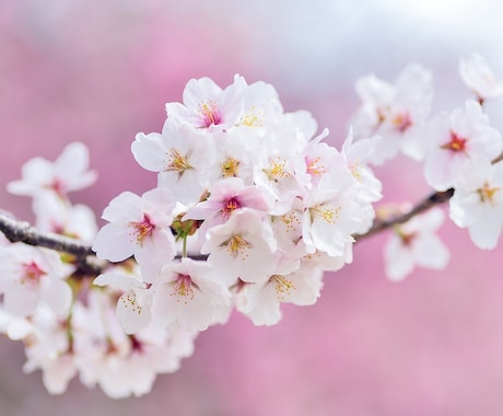 お話し中、宇宙のエネルギーをお送りします イライラもやもやをすっきり手放して軽くなりましょう♡ イメージ2