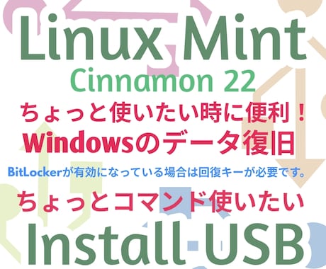 Linux MintブータブルUSB作成代行します ちょっとLinux OS使いたい時に便利なインストールUSB イメージ1