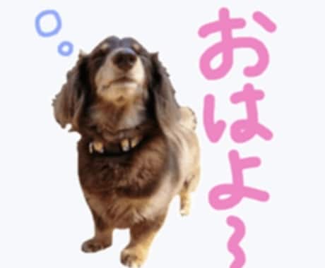 写真を送るだけ★LINEスタンプ作ります あなたの大切な家族のお写真で♡オリジナルLINEスタンプ！ イメージ2