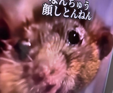 どんな内容でもOKよ!遠慮せずありのまま承ります 博多弁で気が済むまで向き合います!! イメージ1
