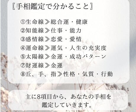手相占い★手相からあなたの運命を占います ボリューム鑑定８項目★運気上昇アドバイスもしっかり伝えます！ イメージ2