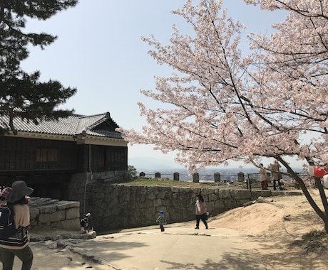 松山市内、また周辺地域の観光のお手伝いいたします お城に興味ある方、現地で俳句を楽しみたい方オススメ致します。 イメージ1