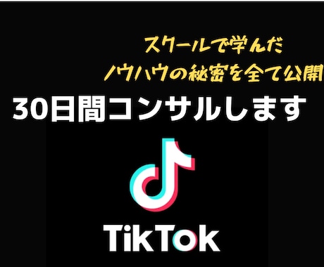 TiK ToK30日間コンサルします スクールで学んだノウハウの秘密をあなたにコンサルします。 イメージ1