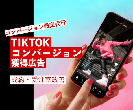 TikTok広告の設定代行やレクチャー致します 【コスパ重視】で複雑な設定、お悩みを解決！ イメージ1