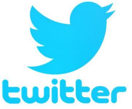 1週間！！全力でTwitterコンサルします Twitter運用コンサル（フォロワー増加、集客、宣伝） イメージ1