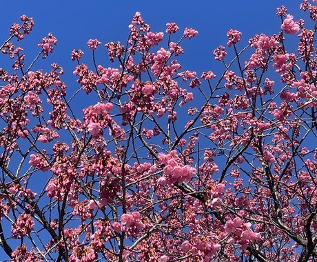 優しいあなたへ　お待ちしてます タカさんあのねってお尋ねください イメージ1