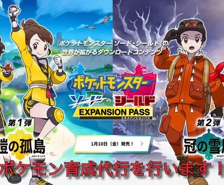 ポケットモンスターソード・シールドの育成代行します 卵孵化可能なポケモンならこちらで準備致します！ イメージ1