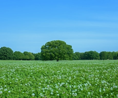 身近な人には話せないことなど何でも聞きます 心の中に溜めている思いを聞かせてくれませんか？1分でもOK！ イメージ2