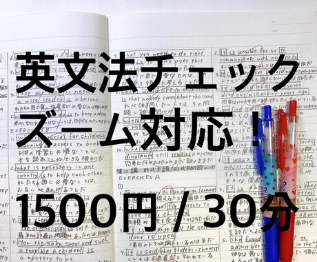 英語文法チェックします 初心者英語〜ビジネス英語まで。ズーム対応です。 イメージ1