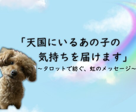 天国のペットからお手紙を届けます 今、あの子が何を感じているのかを、潜在意識から届けます。 イメージ1