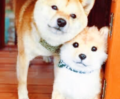 電話越しであなたのそばに寄り添います ひとりで心細く、誰かに甘えたいあなたへ❤︎ イメージ1