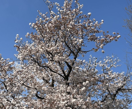 無気力な気持ちで困っている方におすすめします カウンセラーが、あなたの悩みに一緒に寄り添います。 イメージ1