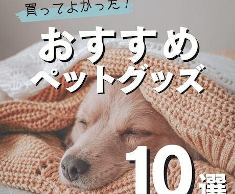 インスタグラムのフィード・リール投稿作成代行します Canva制作★Instagram運用もOK！実績600超え イメージ2