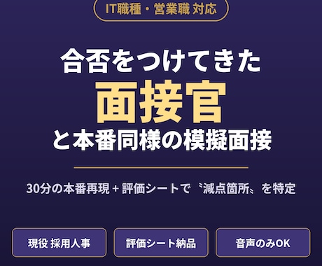 現役採用人事が本番同様の模擬面接をします IT職種・営業職対応|経歴書を読み込んだ上で面接官役をします イメージ1
