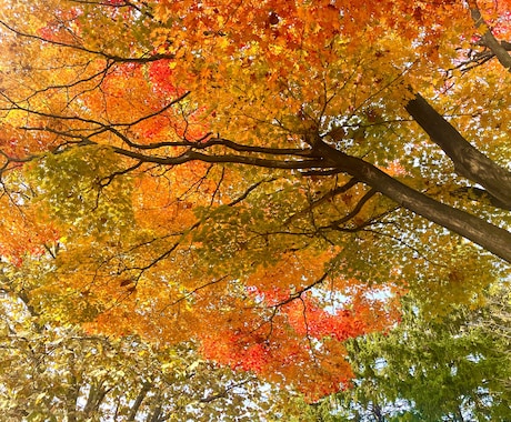 写真の素材提供します 5枚まとめて提供します！北海道の風景写真【秋編】 イメージ2