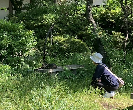 1日30分！ストレッチレッスンします イメージ1