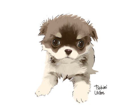 写真をもとにワンちゃんの似顔絵を描きます 愛犬の似顔絵をデジタルツールで描きます イメージ1