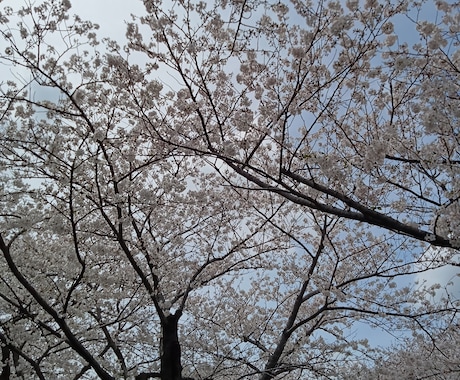 話・愚痴・悩み・相談・雑談なんでも聞きます 否定しません、ただあなたの話を聞かせてください。 イメージ1
