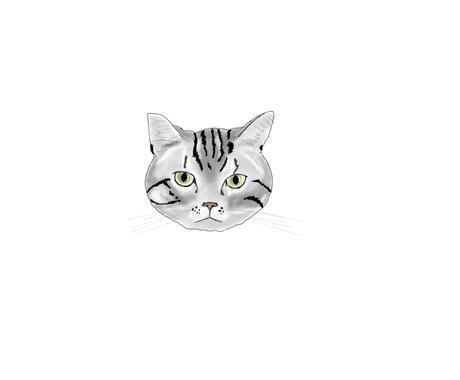 飼い猫ちゃんの顔似顔絵描きます 皆さんのキュートな飼い猫ちゃんたちをイラストに。 イメージ2
