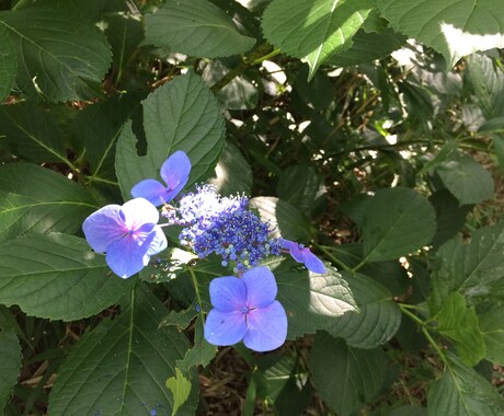 あきらめない。復縁・片想いの縁結び祈念いたします あなたも覚悟して下さい。最終手段。リピーター様限定※高額注意 イメージ1