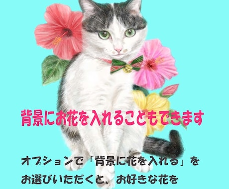 リアルなゆるふわペットの全身イラスト描きます ふんわり優しいタッチのデジタルイラストです イメージ2