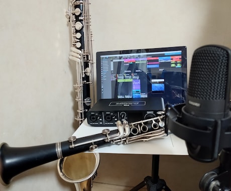 クラリネットやバスクラの演奏を高音質録音で送ります フランス帰りの奏者が宅録します（オプションで最短即日納品も） イメージ1