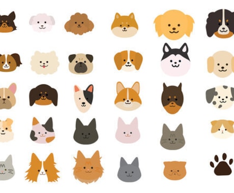 シニア犬専門栄養管理致します その子に合ったレシピをヒアリングを行い作成します！ イメージ1