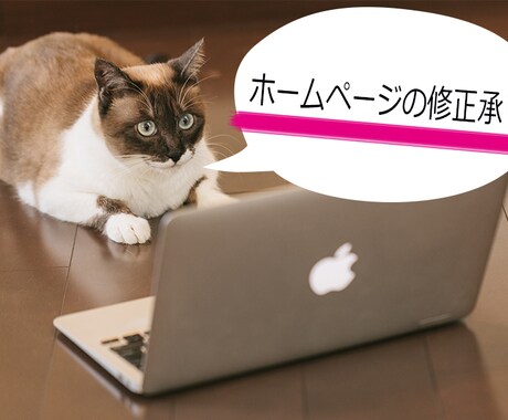 Webサイトの修正を1ヶ所承ります ホームページ制作・管理などでお困りの方に。 イメージ1