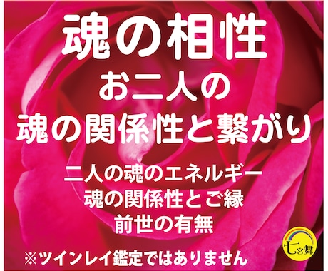 魂の相性 ＜二人の魂の関係性と繋がり＞占います ★魂のエネルギーと関係性、ご縁、前世の有無 イメージ1