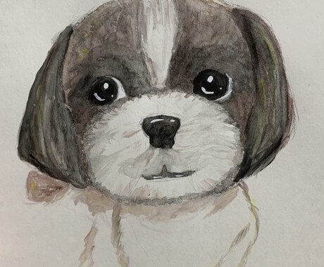 愛犬の似顔絵心を込めて描きます ふんわりタッチでA4サイズフルカラー水彩色鉛筆で描きます イメージ1