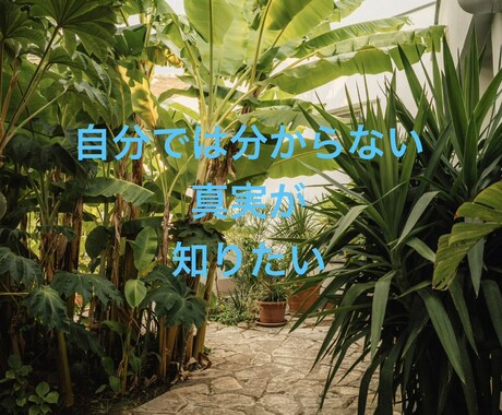 AIで占っても満足出来ない方へ！仕事運読み取ります 経歴20年以上★タロットで深く読み取ります！ イメージ2