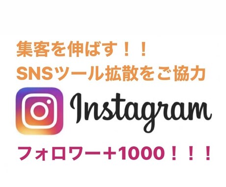 Instagramフォロワー+1000拡散します 集客に重要なSNS インスタグラムのページを宣伝、拡散します イメージ1